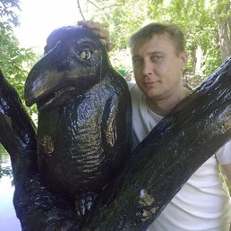 ������, �������, 48 ���