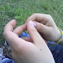 ���� ���, ������, 28 ��� - ��������� 12 ������ 2010