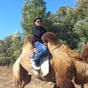 ���� ����, ���������, 35 ��� - ��������� 29 �������� 2012 � ������ ���� ����������