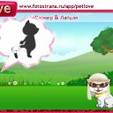 ���� Ҹ��, �����-���������, 23 ���� - ��������� 21 �������� 2010 � ������ �PetLove�