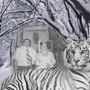 ������ ���� ����� �� ������� �PetLove�