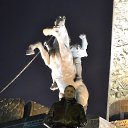 ���� ������, ������, 37 ��� - ��������� 17 ������� 2012