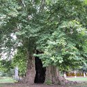 ���� �����, ������ ��������, 46 ��� - ��������� 10 ������� 2012