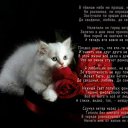 ���� ��, ����, 40 ��� - ��������� 23 ������ 2009 � ������ �������