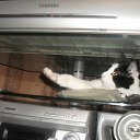 ���� ����, ������ - ��������� 11 ���� 2010 � ������ ������