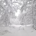 ������ �������� ����-��������� �� ������� ���� ����������