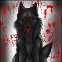 ���� Wolfa, ����, 24 ���� - ��������� 17 ������ 2011