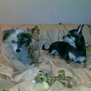 ����� � ���� � ��������)) �� ������� ���� �������)�