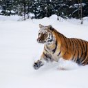   !,  -  27  2009     ...