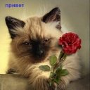 ���� Htqa, ���������, 56 ��� - ��������� 23 ���� 2012