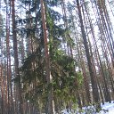 ���� ������, �����-���������, 66 ��� - ��������� 1 ������ 2012 � ������ ����� 2012 ����.�