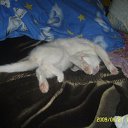 ���� ���������, ����������, 35 ��� - ��������� 26 ������ 2011 � ������ ���������=)�