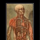 ���� ��������, ������, 36 ��� - ��������� 16 ������� 2012 � ������ ���� ����������