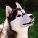 ���� �����, ���� - ��������� 25 ������� 2013 � ������ ���� ������ ������� �����, ��� ������ �������� ������)))�