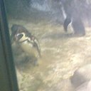 ���� ������, ���������, 41 ��� - ��������� 13 ���� 2011 � ������ ��������� �� ������