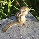 ���� �������, ����������� - ��������� 10 �������� 2011 � ������ �������