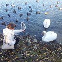 ���� ����, ����, 60 ��� - ��������� 7 ������� 2012 � ������ ���� ����������