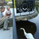 ���� ����, ����������, 44 ���� - ��������� 20 ������ 2010