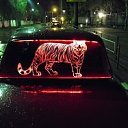 ���� ������, ������, 37 ��� - ��������� 29 �������� 2011