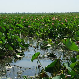 ���� �������, �����-��������� - ��������� 28 �������� 2012