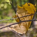 ���� ��������, �������, 58 ��� - ��������� 4 ������ 2011 � ������ ������ �� ���� �������