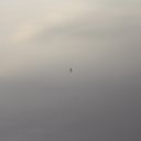 ���� �����, ������, 68 ��� - ��������� 6 ���� 2013 � ������ ���� ����������