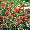 ���� ���������, ������ ��������, 46 ��� - ��������� 29 ������ 2009 � ������ ���� ��������!�