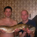 ���� ������, ����������, 44 ���� - ��������� 1 ����� 2012 � ������ ���� ����������