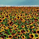 ���� Anna, ������, 62 ���� - ��������� 14 ��� 2012 � ������ ���� ��� ������