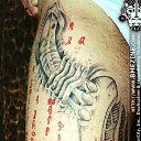 ���� ������, ��������, 36 ��� - ��������� 2 ������� 2010 � ������ �����))))�
