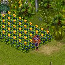 ���� ���������, ������ - ��������� 26 ������ 2012 � ������ �Tropikania�