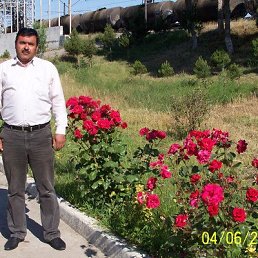 Ilham, �������, 54 ����