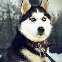 ���� �������, ������������, 42 ���� - ��������� 1 ����� 2012 � ������ ���� ����� � ���-�������.�