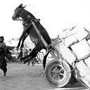 ��� ���� ��� ������� �����������, ������ ��� � ����.