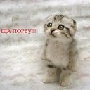 ���� ���𝕺𝖒𝖊𝖓, �������� - ��������� 8 ���� 2013