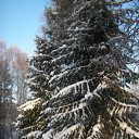 ���� �����, ��������, 40 ��� - ��������� 30 ������ 2011 � ������ �������