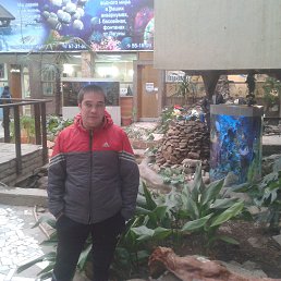 ����, ������, 36 ���