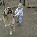 ���� �����, ������, 35 ��� - ��������� 21 �������� 2012 � ������ �� � ��� ������