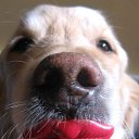 ���� Nadeshda-, �������� - ��������� 24 ���� 2013 � ������ ���� ����������