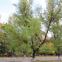 ���� ����, ������, 56 ��� - ��������� 26 �������� 2012 � ������ �������