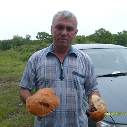 ���� Nikola, �����������, 73 ���� - ��������� 18 ������� 2012