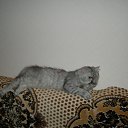 ���� Svetlanas, ���������, 47 ��� - ��������� 7 ���� 2010 � ������ ���� �������