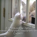 ���� ����� - ���������� ��������!!!, �����������, 56 ��� - ��������� 13 ������� 2009 � ������ ��������� ����һ