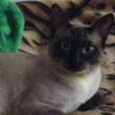 ��� ���� ����� �� ������� ���� ���