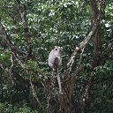 ���� �����, ������, 53 ���� - ��������� 16 ������� 2011 � ������ ���� ����������