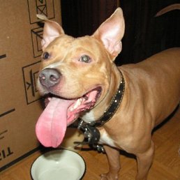 ���� �����, �����������, 47 ��� - ��������� 4 ������� 2012