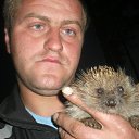 ���� ������, ������, 43 ���� - ��������� 29 ������ 2012 � ������ ���� ����������