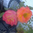  Radislav, , 52  -  15  2012   