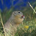 ������� ������. �� ������� ���� ����������