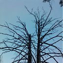 ���� Vicktor, ���������, 59 ��� - ��������� 12 ������ 2012 � ������ �������